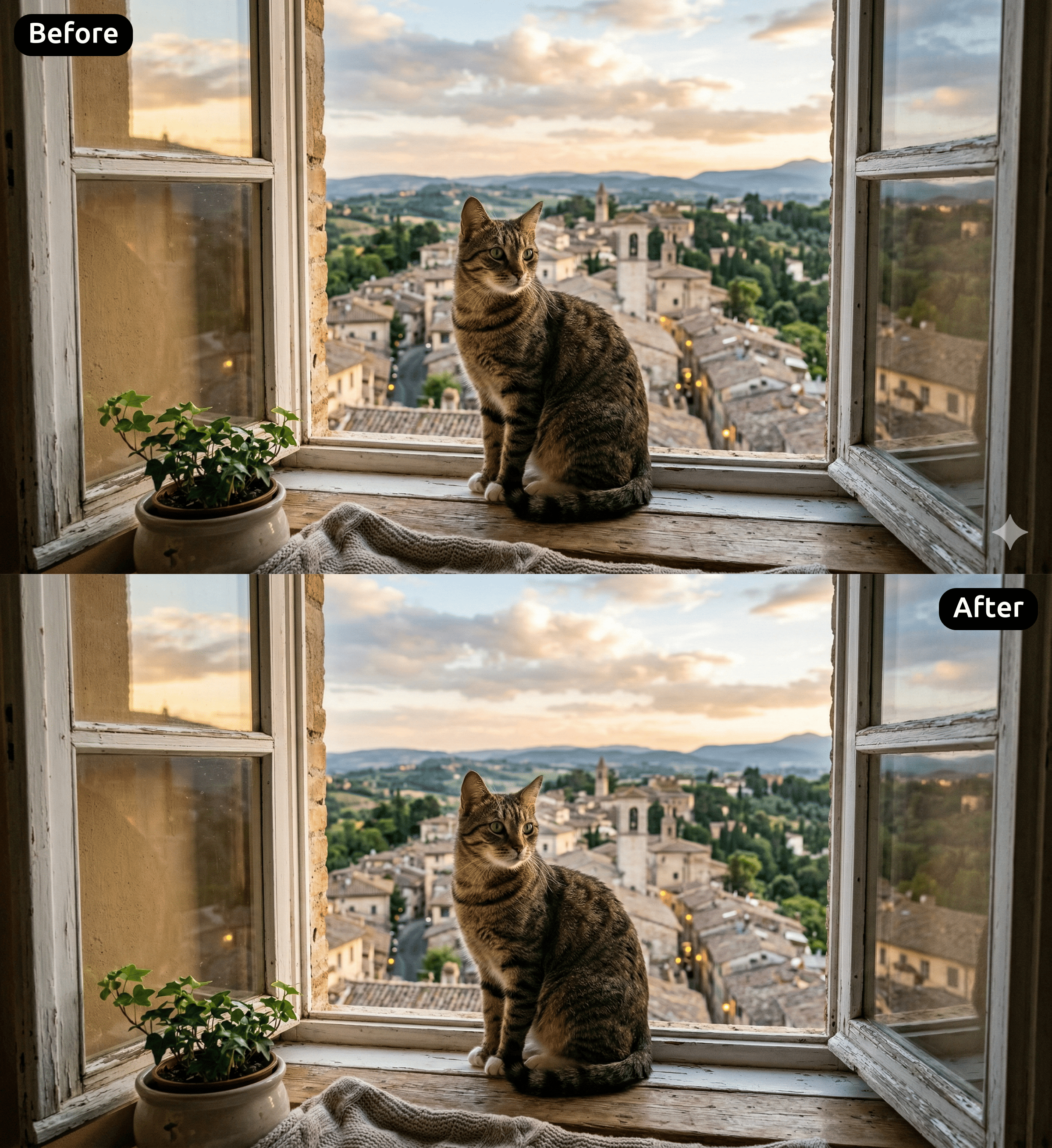 Before and after comparison showing a Gemini image with and without the watermark